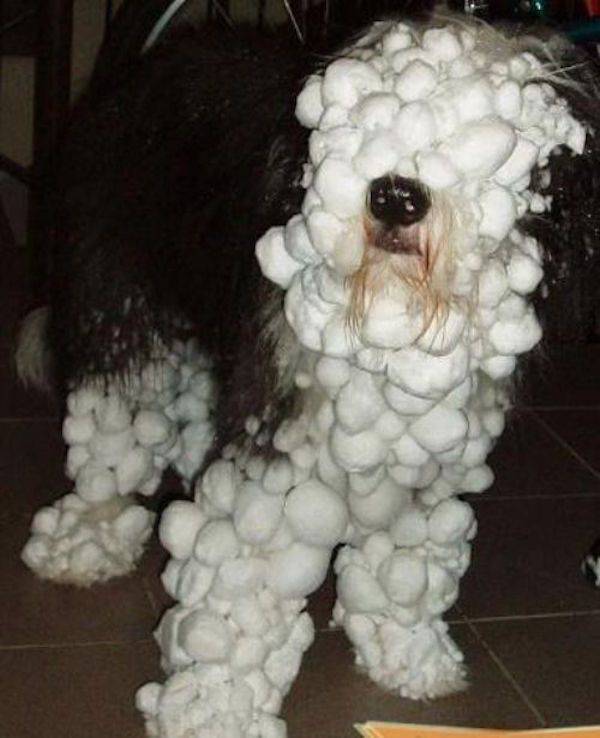 Chill Out And Check These Cool Jokes