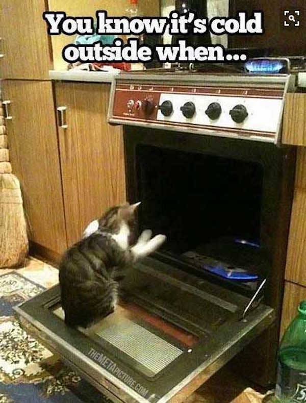 Chill Out And Check These Cool Jokes