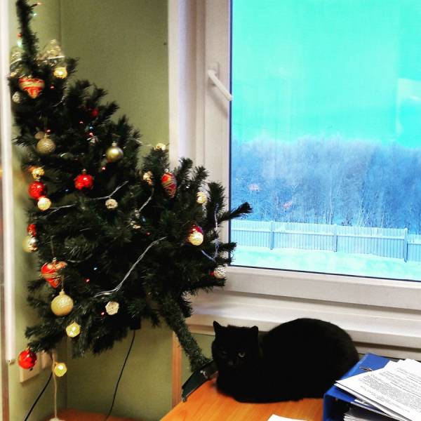 daily picdump 97 pics 17.html - 97 HD Photos | Premium Gallery 2018