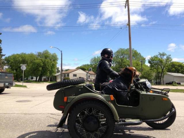 daily picdump 97 pics 17.html - 97 HD Photos | Premium Gallery 2018