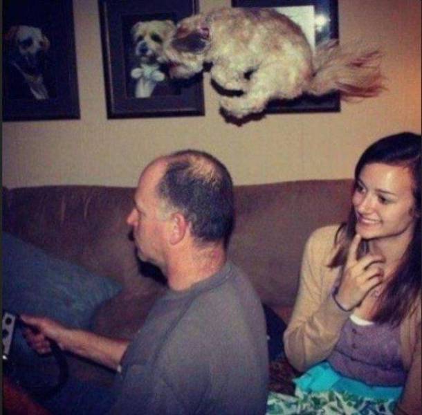 daily picdump 97 pics 17.html - 97 HD Photos | Premium Gallery 2018