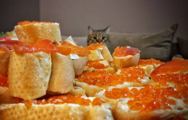 daily picdump 97 pics 17.html - 97 HD Photos | Premium Gallery 2018