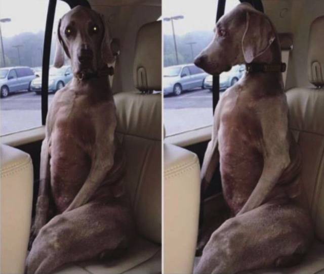 daily picdump 97 pics 17.html - 97 HD Photos | Premium Gallery 2018