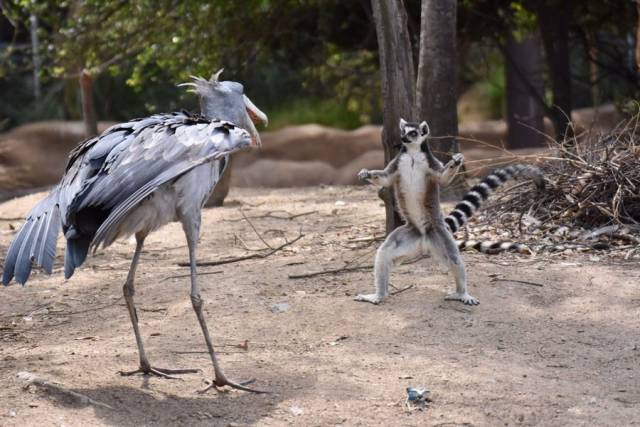 daily picdump 97 pics 17.html - 97 HD Photos | Premium Gallery 2018