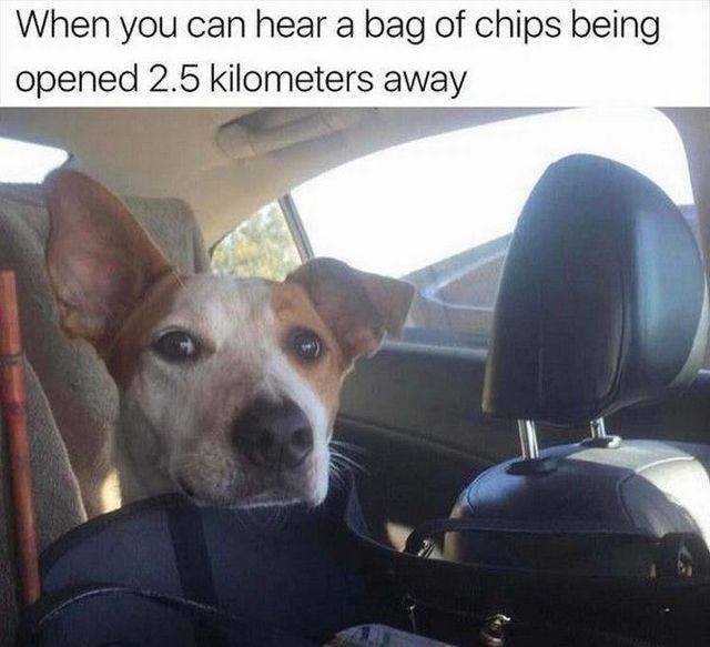 daily picdump 97 pics 17.html - 97 HD Photos | Premium Gallery 2018