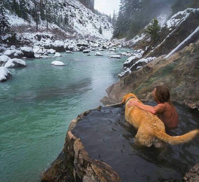 daily picdump 97 pics 17.html - 97 HD Photos | Premium Gallery 2018