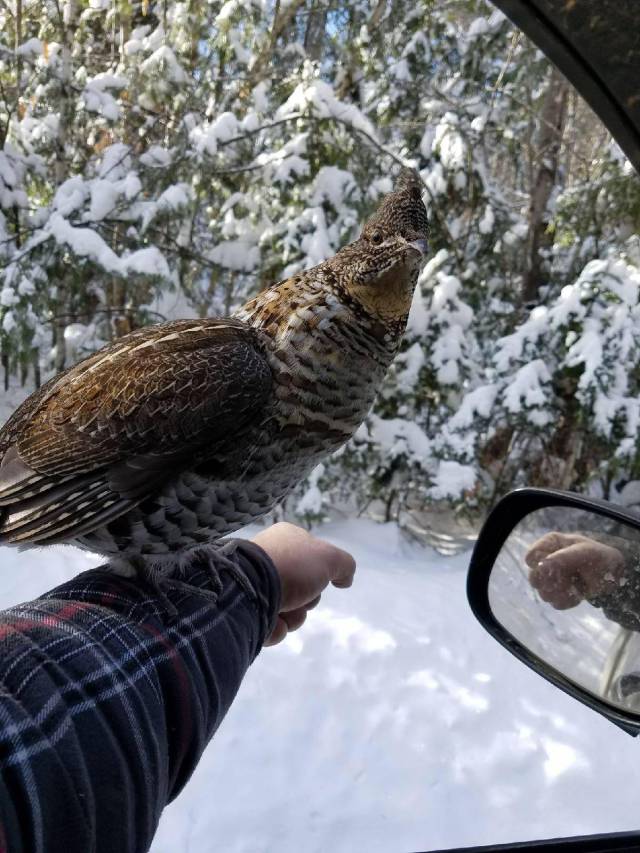 daily picdump 97 pics 17.html - 97 HD Photos | Premium Gallery 2018