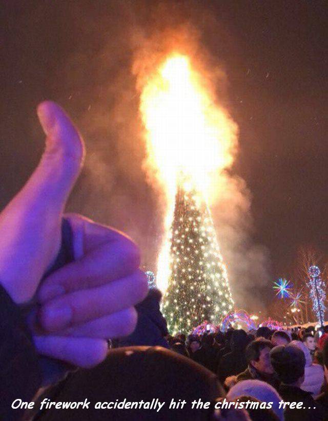 daily picdump 97 pics 17.html - 97 HD Photos | Premium Gallery 2018