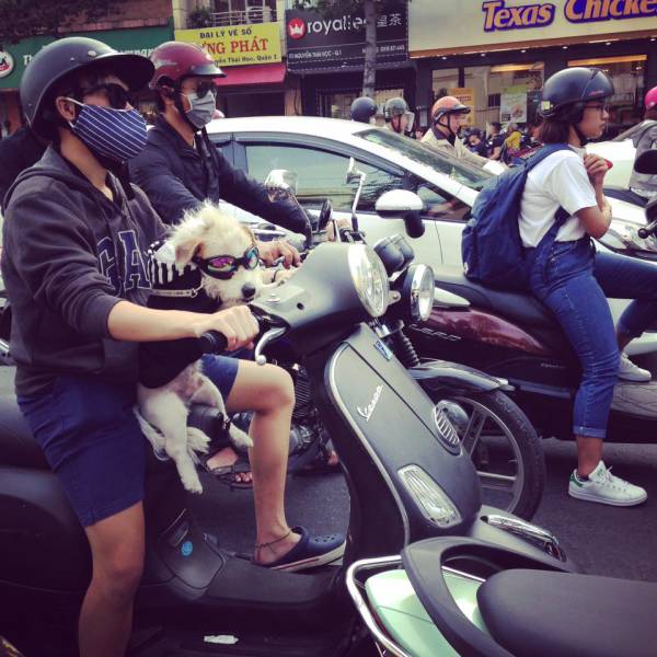 morning picdump 54 pics 41.html - 54 HD Photos | Premium Gallery 2018