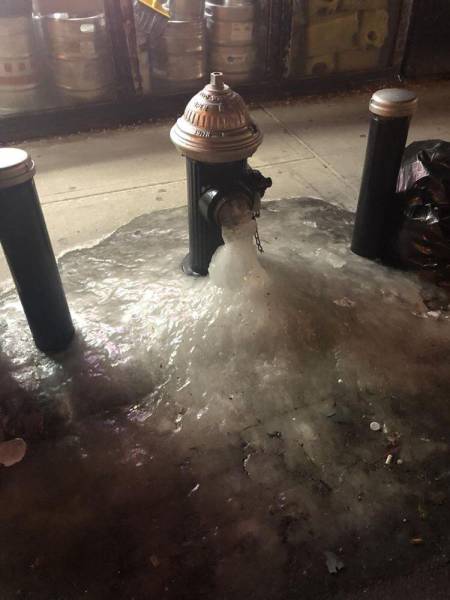 morning picdump 54 pics 41.html - 54 HD Photos | Premium Gallery 2018