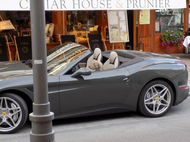 morning picdump 54 pics 41.html - 54 HD Photos | Premium Gallery 2018