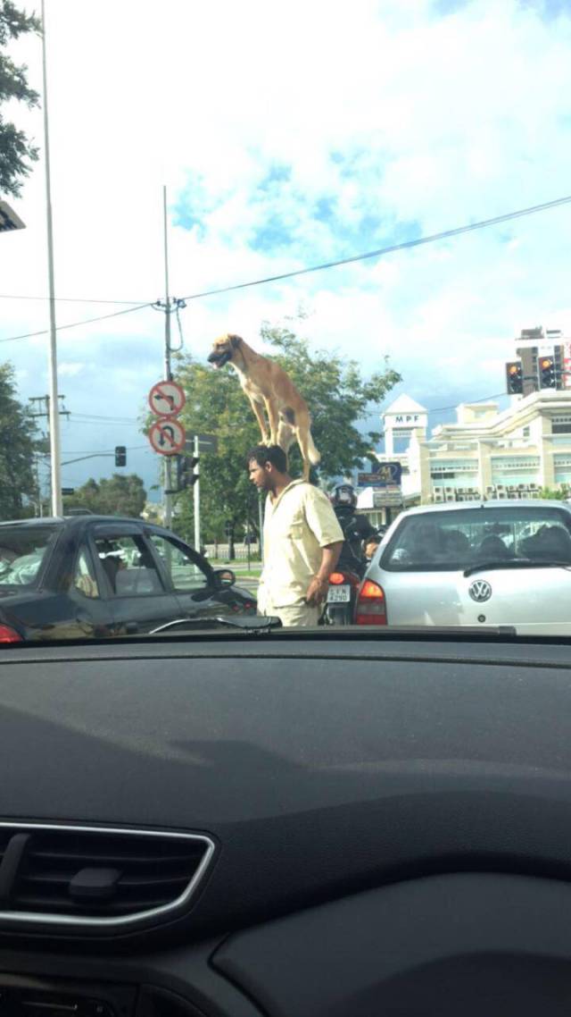 morning picdump 54 pics 41.html - 54 HD Photos | Premium Gallery 2018