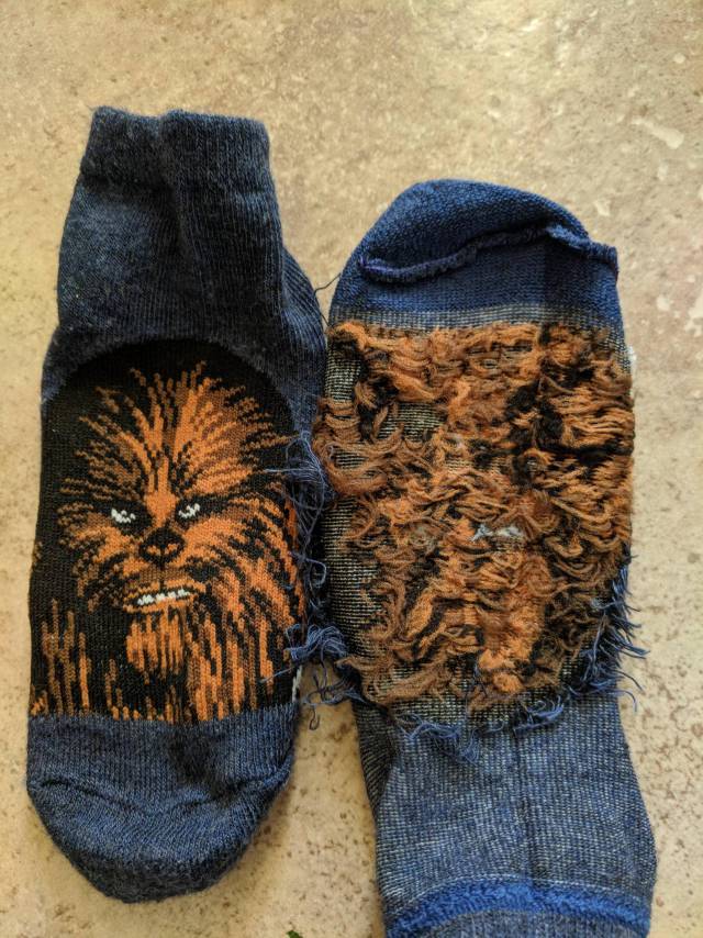 morning picdump 54 pics 41.html - 54 HD Photos | Premium Gallery 2018