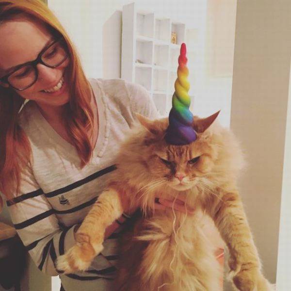 daily picdump 99 pics 28.html - 99 HD Photos | Premium Gallery 2018