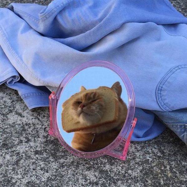 daily picdump 99 pics 28.html - 99 HD Photos | Premium Gallery 2018