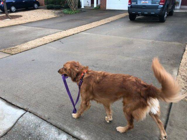 daily picdump 99 pics 28.html - 99 HD Photos | Premium Gallery 2018