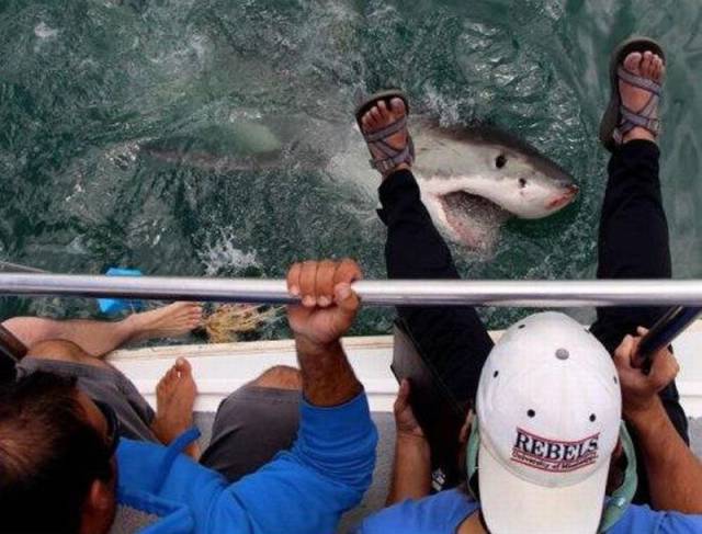 daily picdump 99 pics 28.html - 99 HD Photos | Premium Gallery 2018