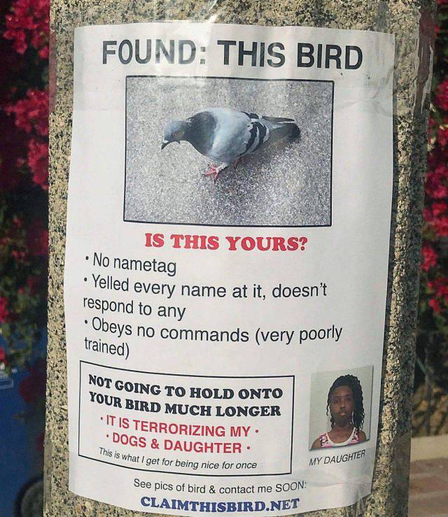 daily picdump 99 pics 28.html - 99 HD Photos | Premium Gallery 2018