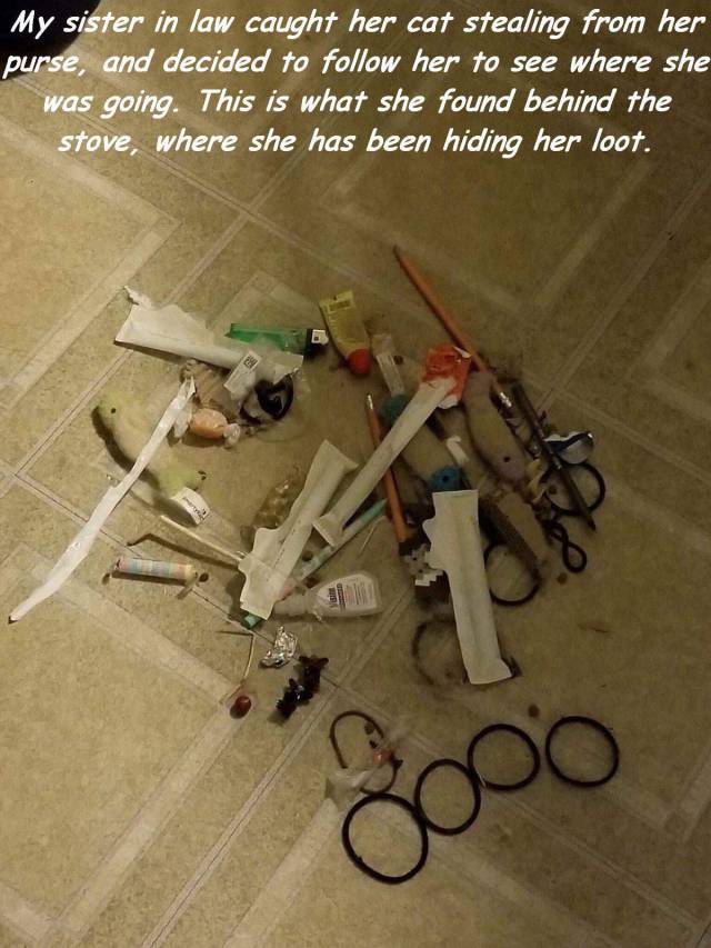 daily picdump 99 pics 28.html - 99 HD Photos | Premium Gallery 2018