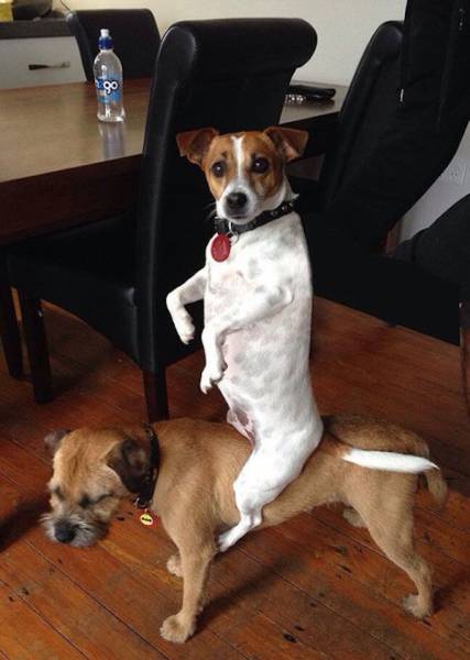 morning picdump 53 pics 20.html - 53 HD Photos | Premium Gallery 2018