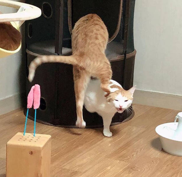 morning picdump 53 pics 20.html - 53 HD Photos | Premium Gallery 2018