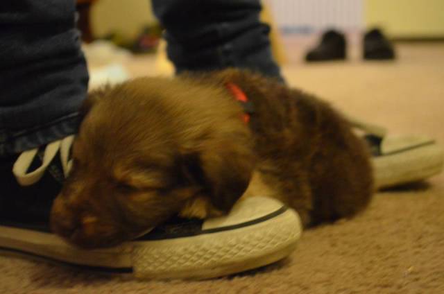 morning picdump 53 pics 20.html - 53 HD Photos | Premium Gallery 2018