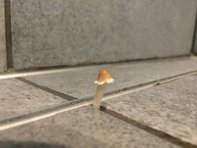 Daily Picdump [WEEKEND EDITION]