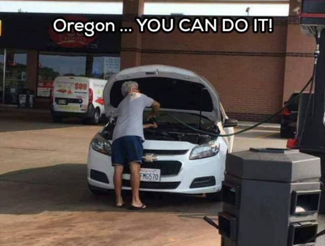 Daily Picdump [WEEKEND EDITION]