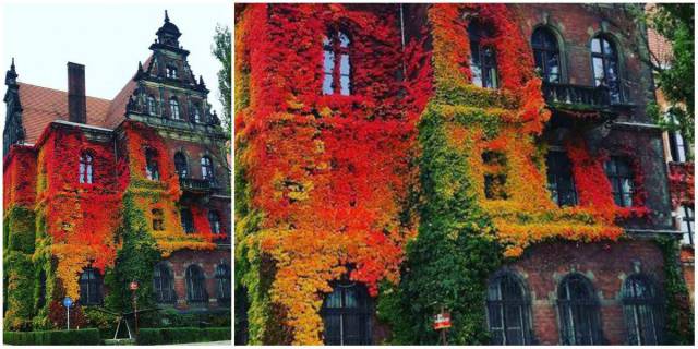 daily picdump weekend edition 52 pics 17.html - 52 HD Photos | Premium Gallery 2018