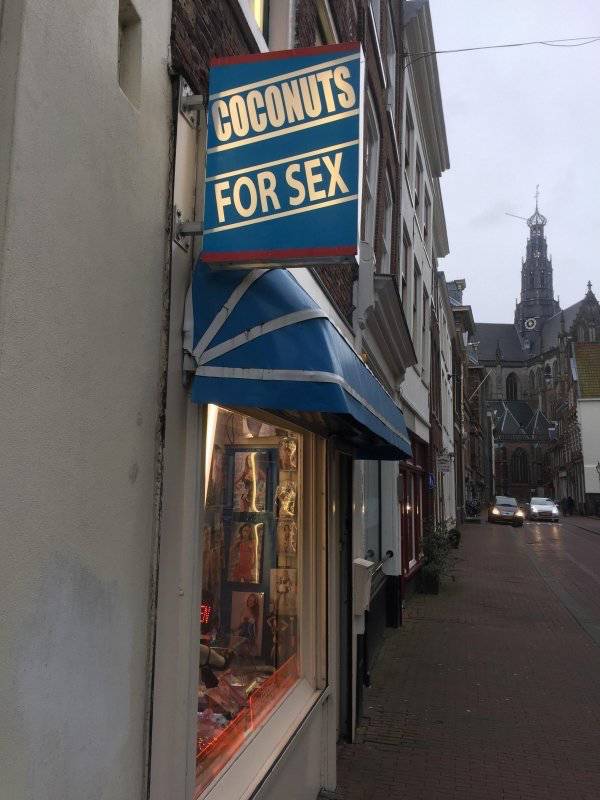 daily picdump weekend edition 52 pics 17.html - 52 HD Photos | Premium Gallery 2018