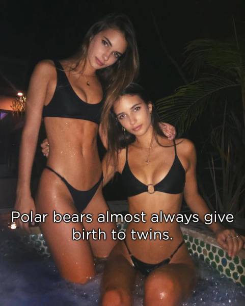 Identical Facts About Twins