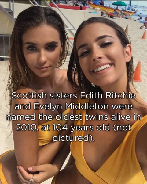 Identical Facts About Twins