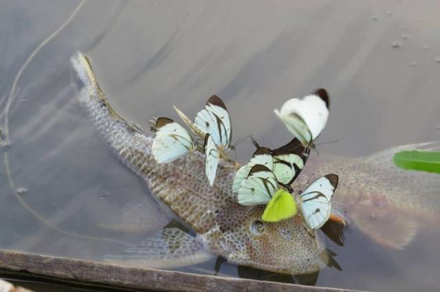 daily picdump 103 pics 8.html - 103 HD Photos | Premium Gallery 2018