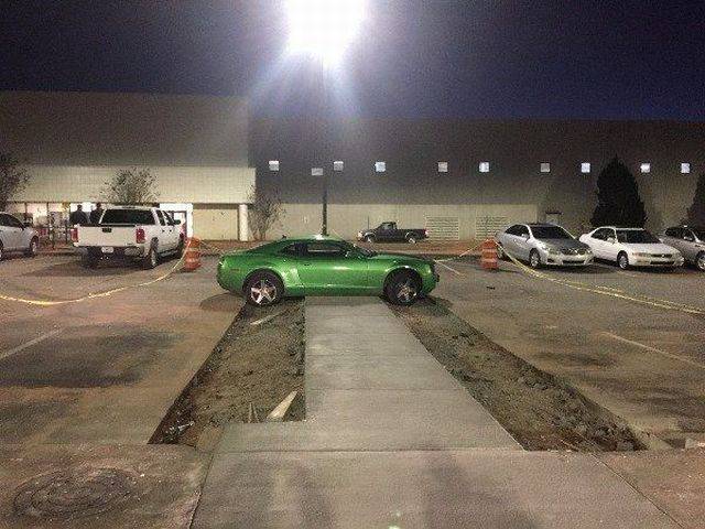 daily picdump 103 pics 8.html - 103 HD Photos | Premium Gallery 2018