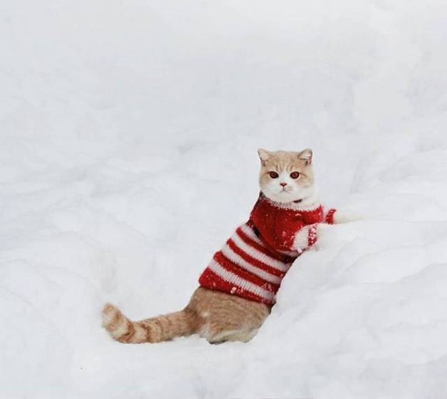 daily picdump 103 pics 8.html - 103 HD Photos | Premium Gallery 2018