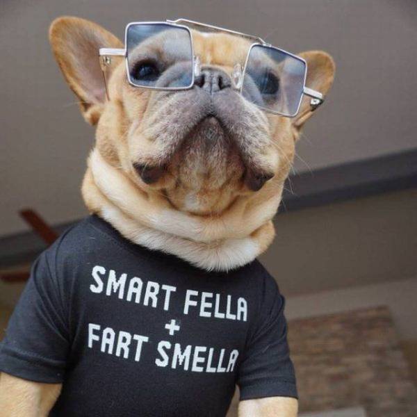 daily picdump 103 pics 8.html - 103 HD Photos | Premium Gallery 2018