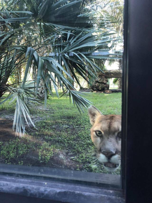 daily picdump 103 pics 8.html - 103 HD Photos | Premium Gallery 2018