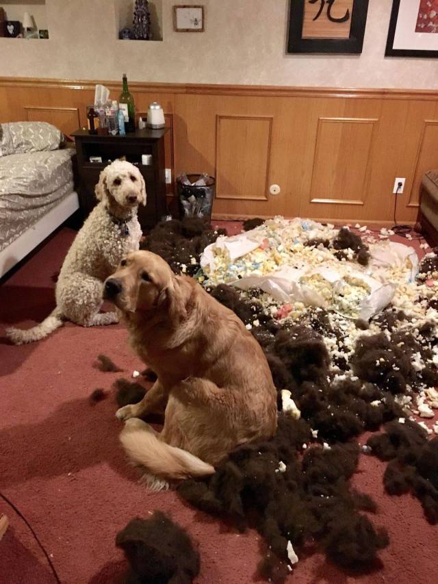 daily picdump 103 pics 8.html - 103 HD Photos | Premium Gallery 2018