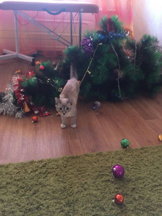 daily picdump 103 pics 8.html - 103 HD Photos | Premium Gallery 2018