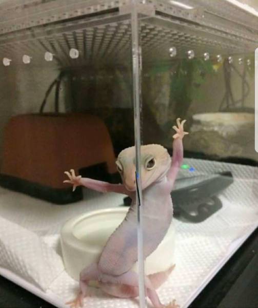 morning picdump 54 pics 1.html - 54 HD Photos | Premium Gallery 2018