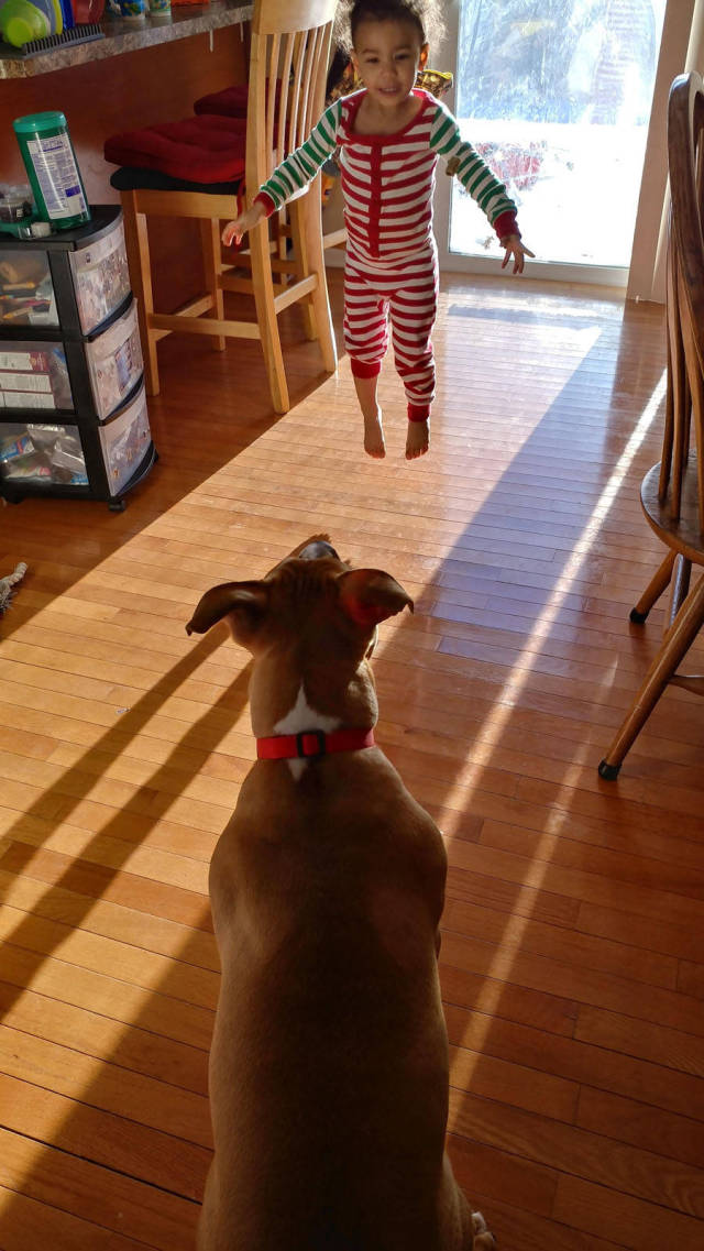 morning picdump 54 pics 1.html - 54 HD Photos | Premium Gallery 2018