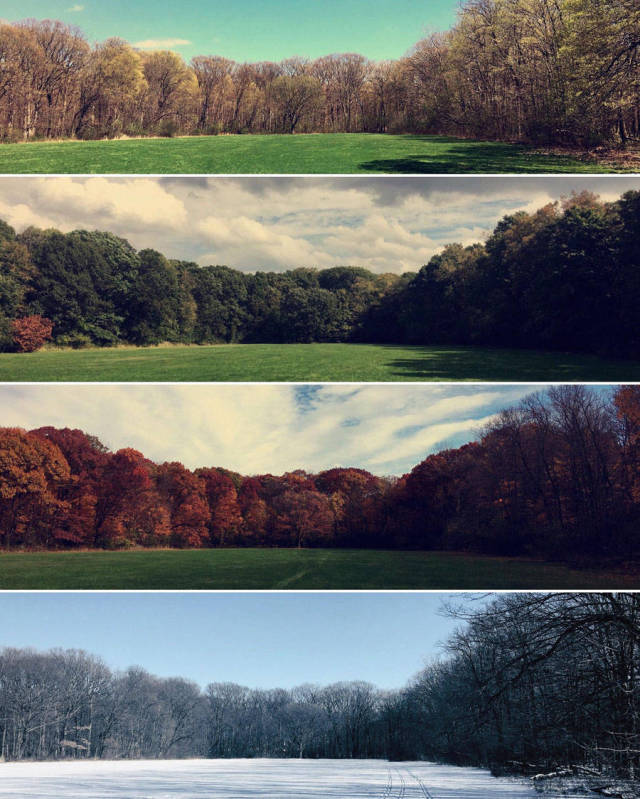 morning picdump 50 pics 2.html - 50 HD Photos | Premium Gallery 2018