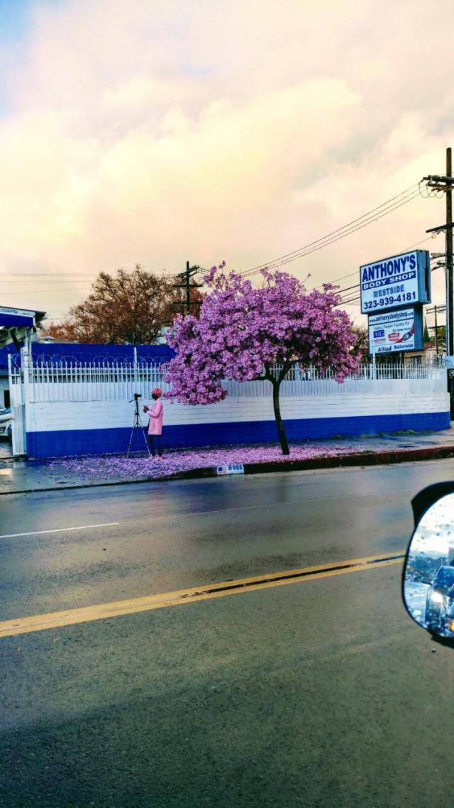 morning picdump 50 pics 2.html - 50 HD Photos | Premium Gallery 2018