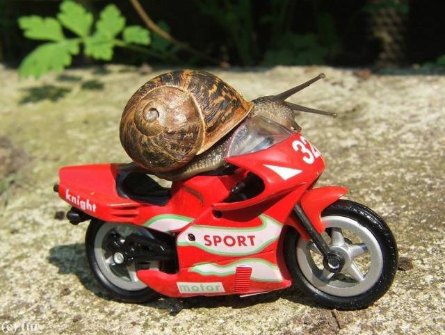 daily picdump 105 pics 3.html - 105 HD Photos | Premium Gallery 2018