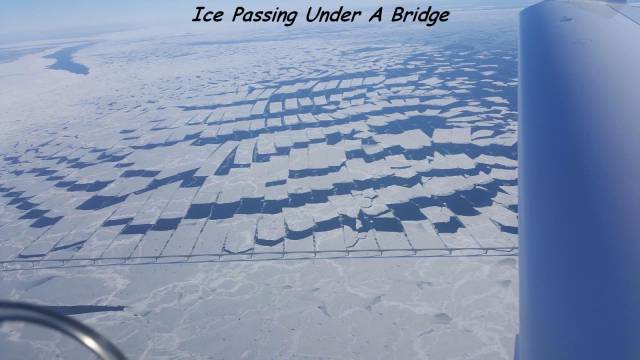 daily picdump 105 pics 3.html - 105 HD Photos | Premium Gallery 2018