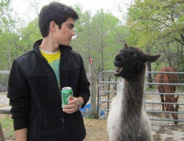 daily picdump 105 pics 3.html - 105 HD Photos | Premium Gallery 2018