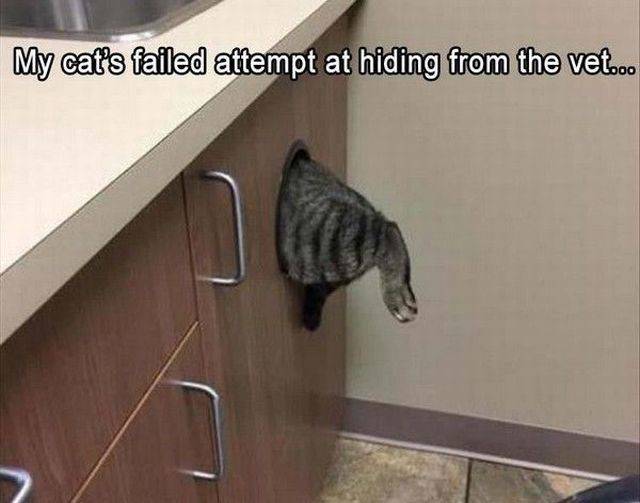 daily picdump 105 pics 3.html - 105 HD Photos | Premium Gallery 2018