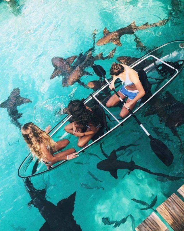 daily picdump 105 pics 3.html - 105 HD Photos | Premium Gallery 2018