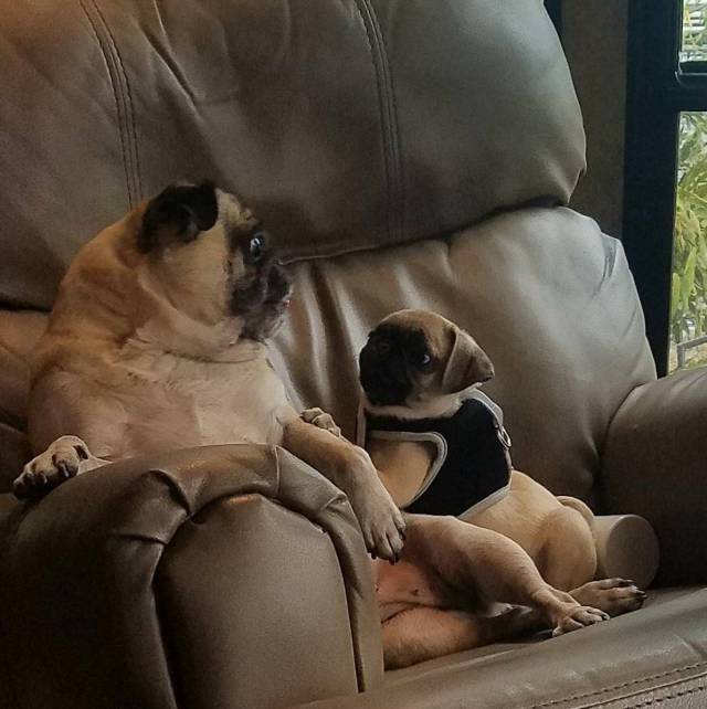 daily picdump 105 pics 3.html - 105 HD Photos | Premium Gallery 2018