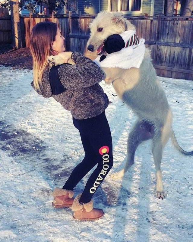 daily picdump 105 pics 3.html - 105 HD Photos | Premium Gallery 2018